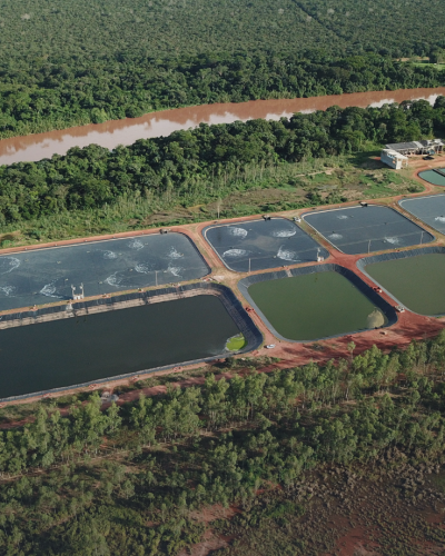 Tratamento de Efluentes Industriais_ Etapas, Tecnologias e Desafios